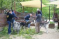 /album/budakeszi-vadaspark-a-fold-vilagnapja-alkalmabol-torteno-meghivasa-a-nagyragadozok-es-pasztorkutyak-forumnak-2014-aprilis-fotok-izabella-tandecki-/img-007-jpg/